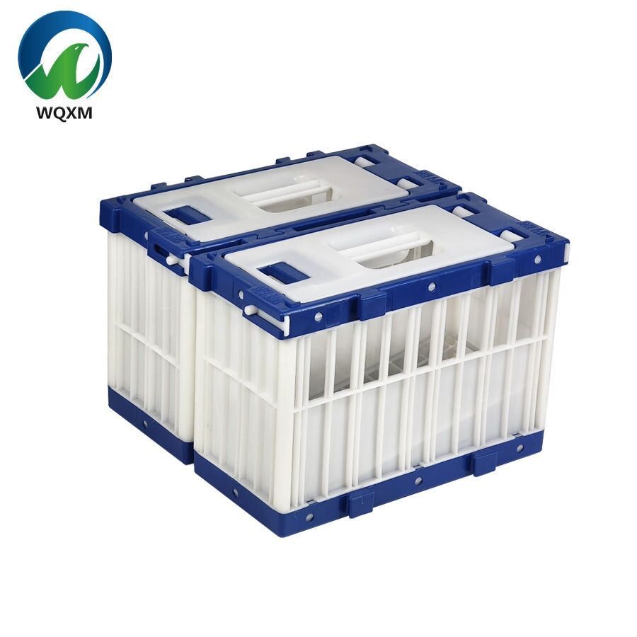 The Market Applications of Racing Pigeon Cages