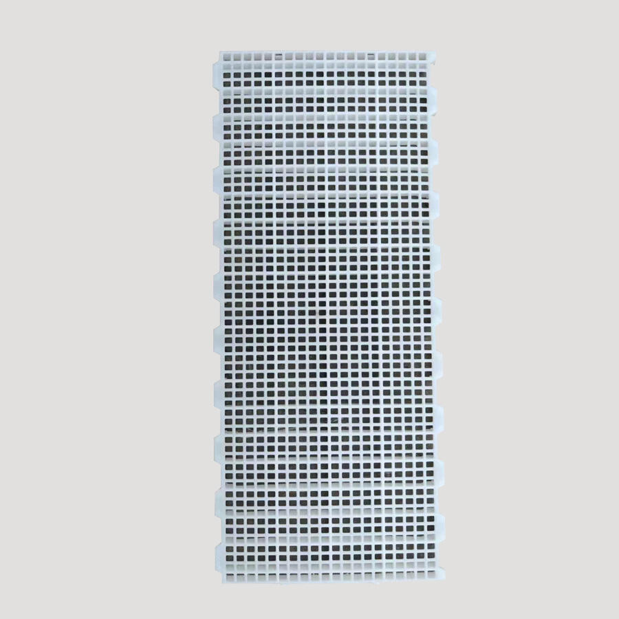 Poultry Plastic Slat Floor for Chicken Farming