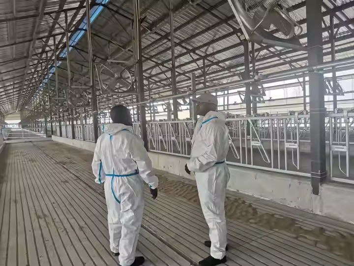 Support complet et avantages d'un partenariat à long terme