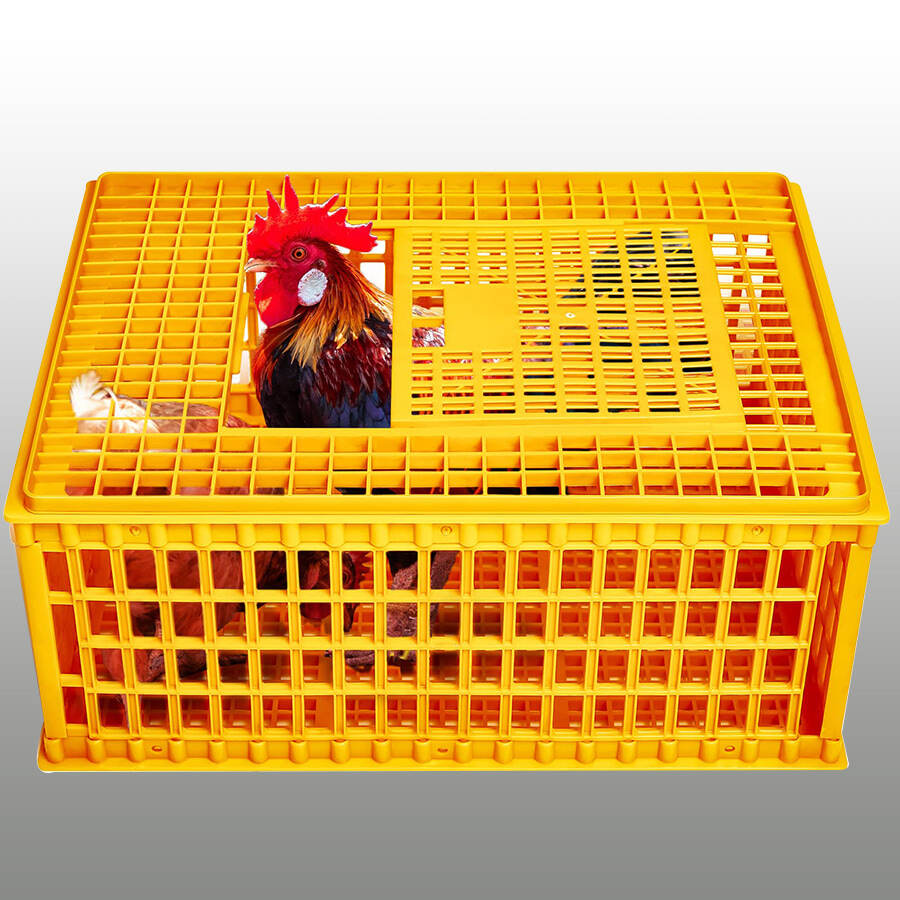 Polypropylene Pp Chicken Transport Basket With Easy Opening Cap