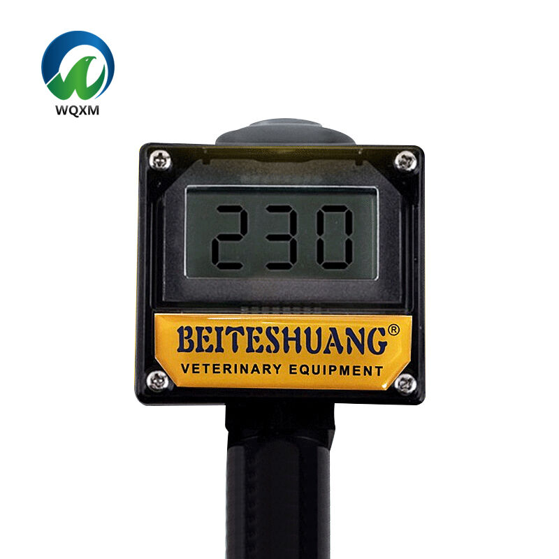 Economic and Operational Efficiency