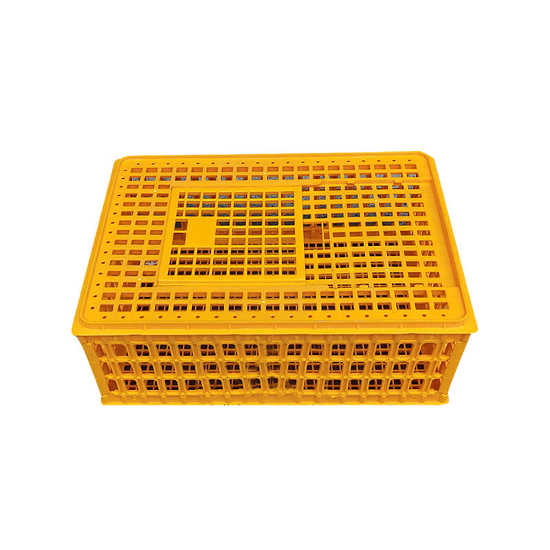 Conception Polyvalente pour Plusieurs Applications