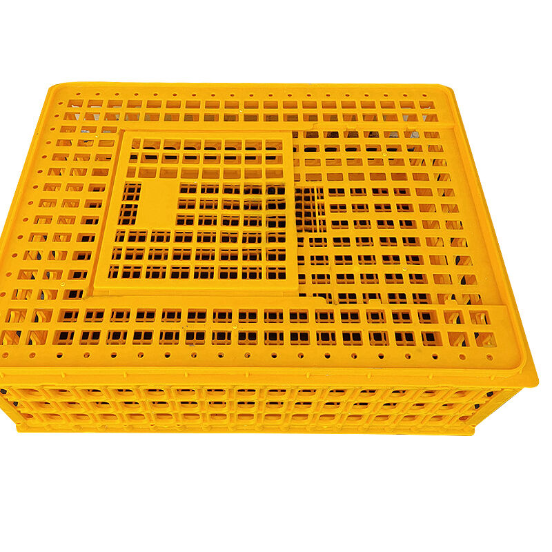 Ingénierie de la durabilité et solutions économiques