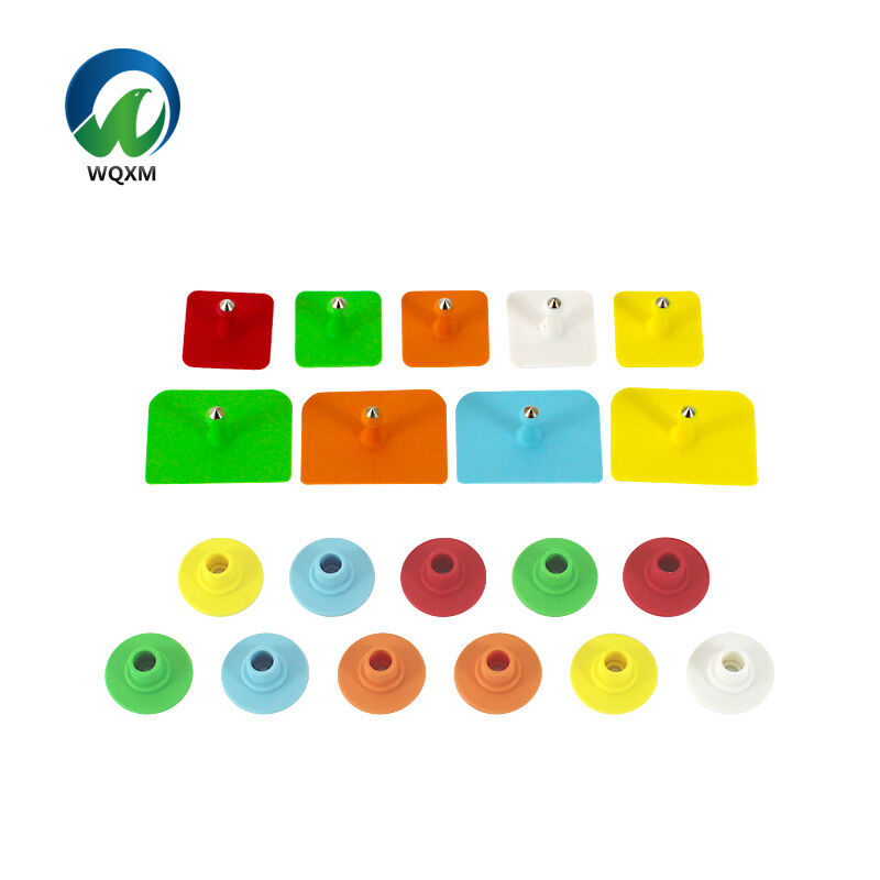 Soluciones integrales de gestión ganadera