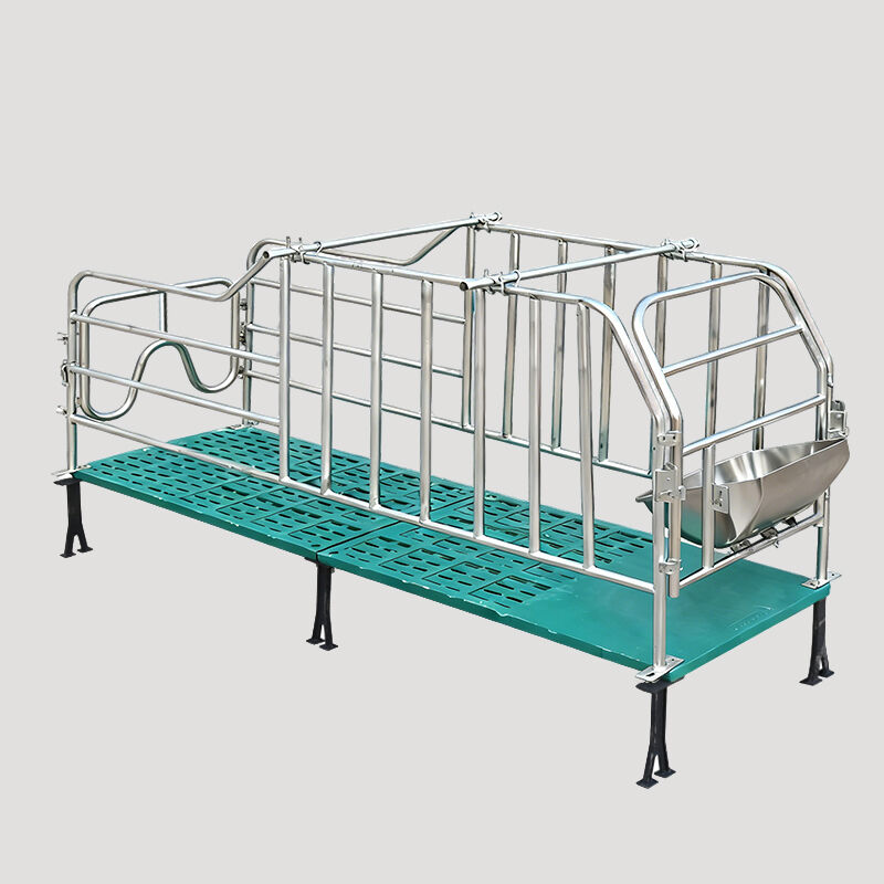 Gestation Nursery Farrowing Fattening Weaning Pig Sow Piglet Stall Crate Pen Cage