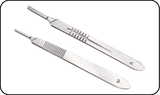 Wholesale Veterinary Stainless Steel Medical Metal Surgical Blade for Animal Surgery