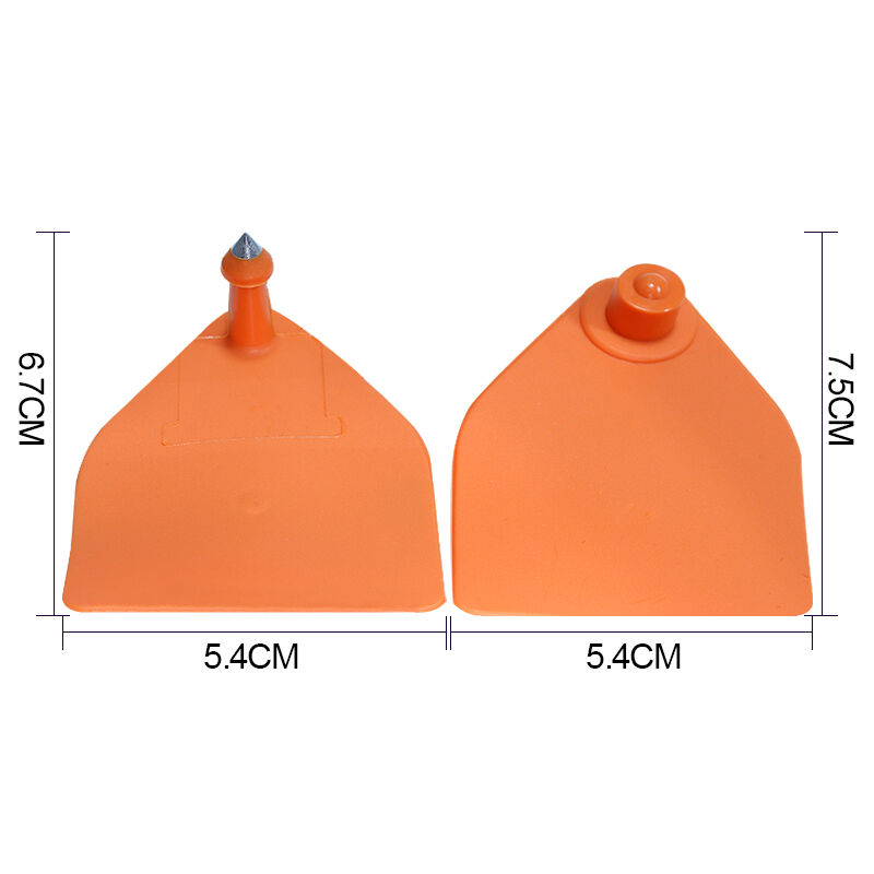 Comprehensive Care Solutions