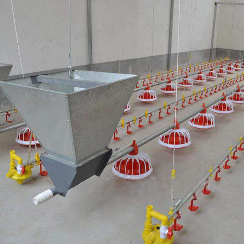 The Booming Global Chicken Feeding Line Market