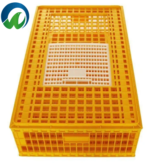 تقنية تهوية متفوقة لصحة الطيور المثلى