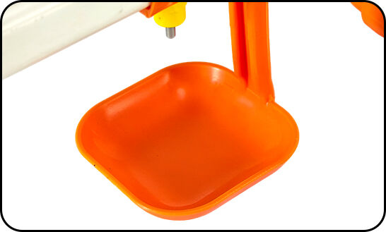 details-2.jpg