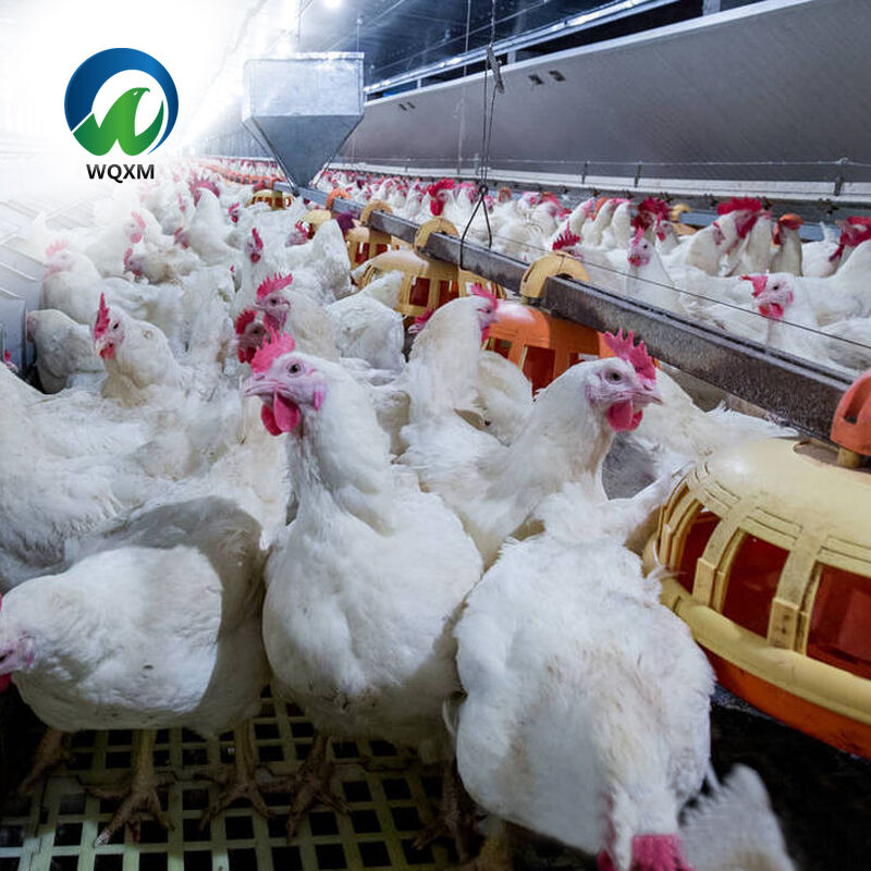 Superior Construction and Durability