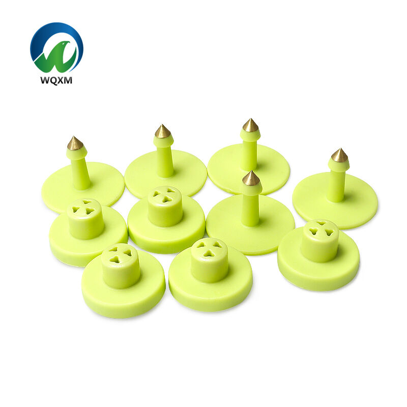 Enhanced Bird Welfare Features