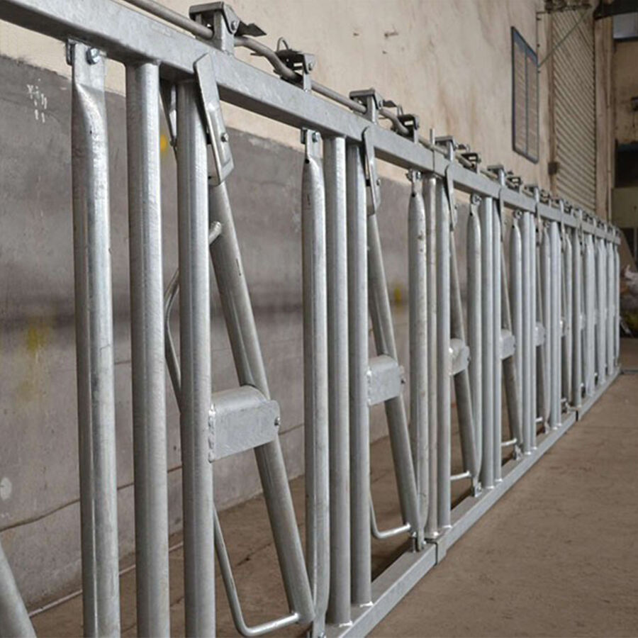 Verrouillage de tête pour bétail et moutons en acier galvanisé lourd