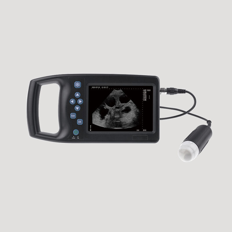 Veterinary B-Ultrasound Scanner For Livestock Pig Goat Cattle Pregnancy