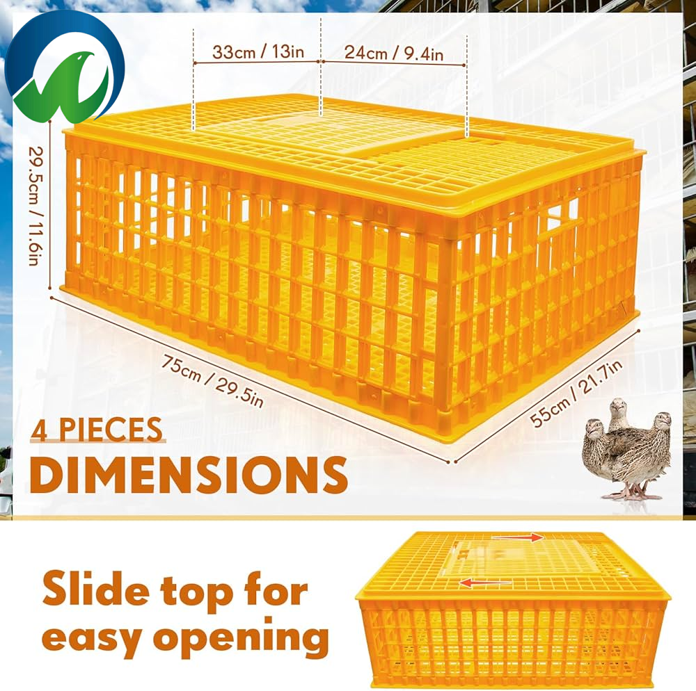 Technologie avancée de ventilation pour le bien-être optimal des animaux