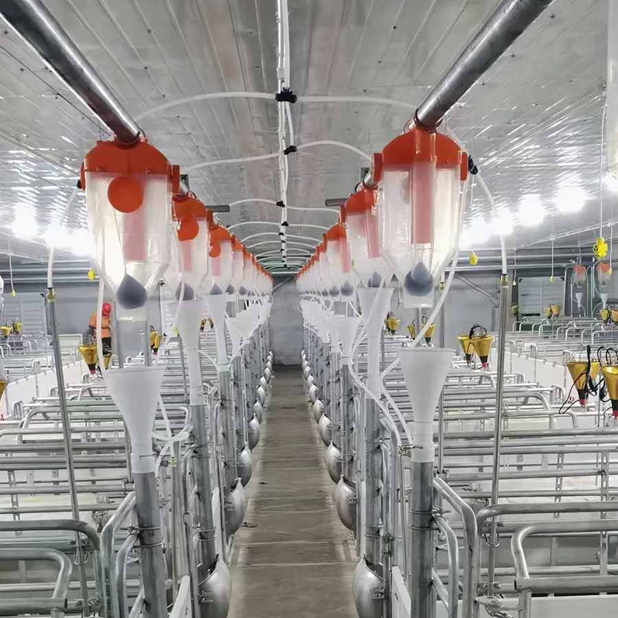 Wanqing Livestock: A German Client’s Innovative Automated Sheep Farming Upgrade