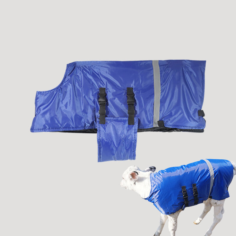 Veste imperméable épaisse pour veau