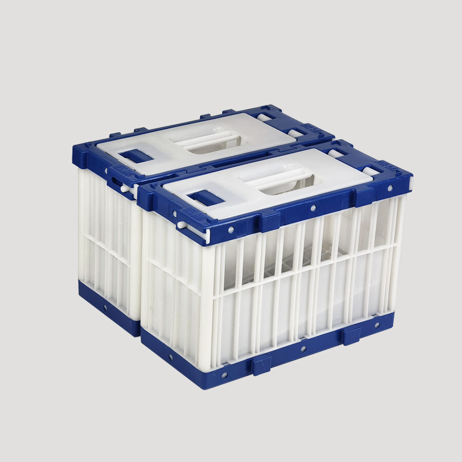 High Quality Automatic Plastic Racing Pigeon Training Cage 