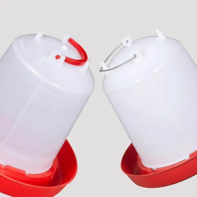 What Makes a Chicken Feeding System Efficient on Large Farms?