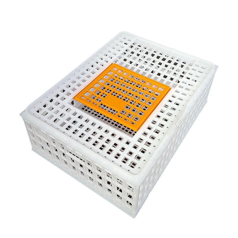 Fonctionnalités de sécurité améliorées pour le transport sécurisé des volailles