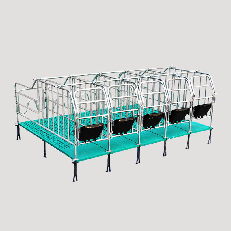 Hot Dip Galvanized Gestation Cages For Sow With Slat Floor