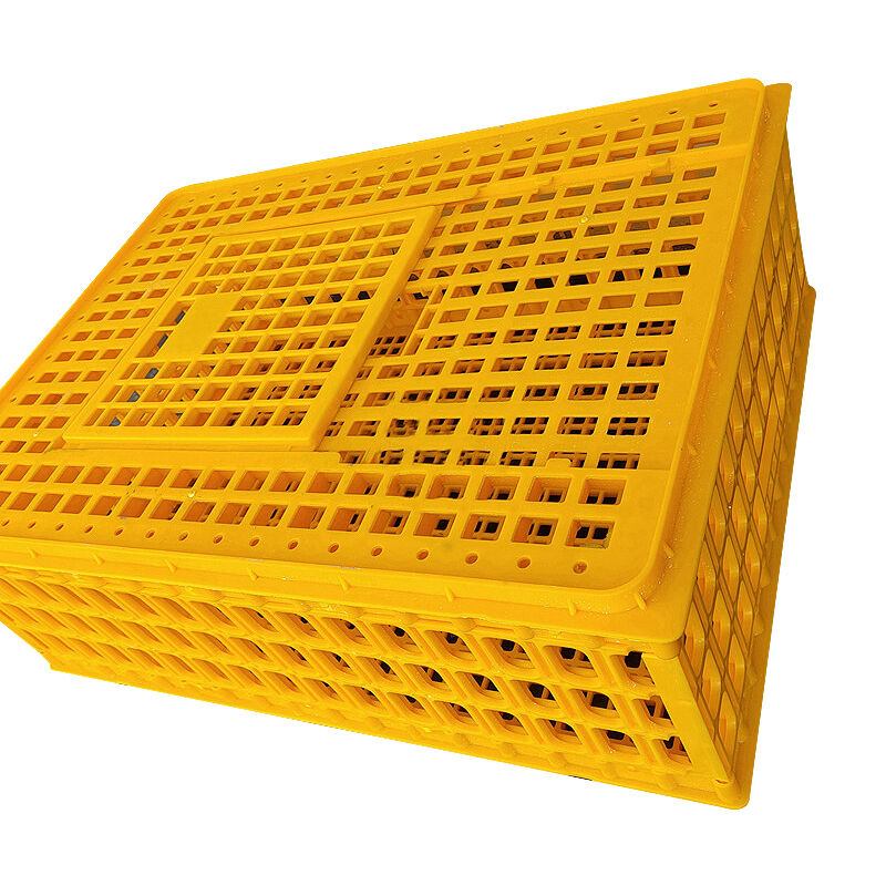 Construction robuste pour une durabilité à long terme