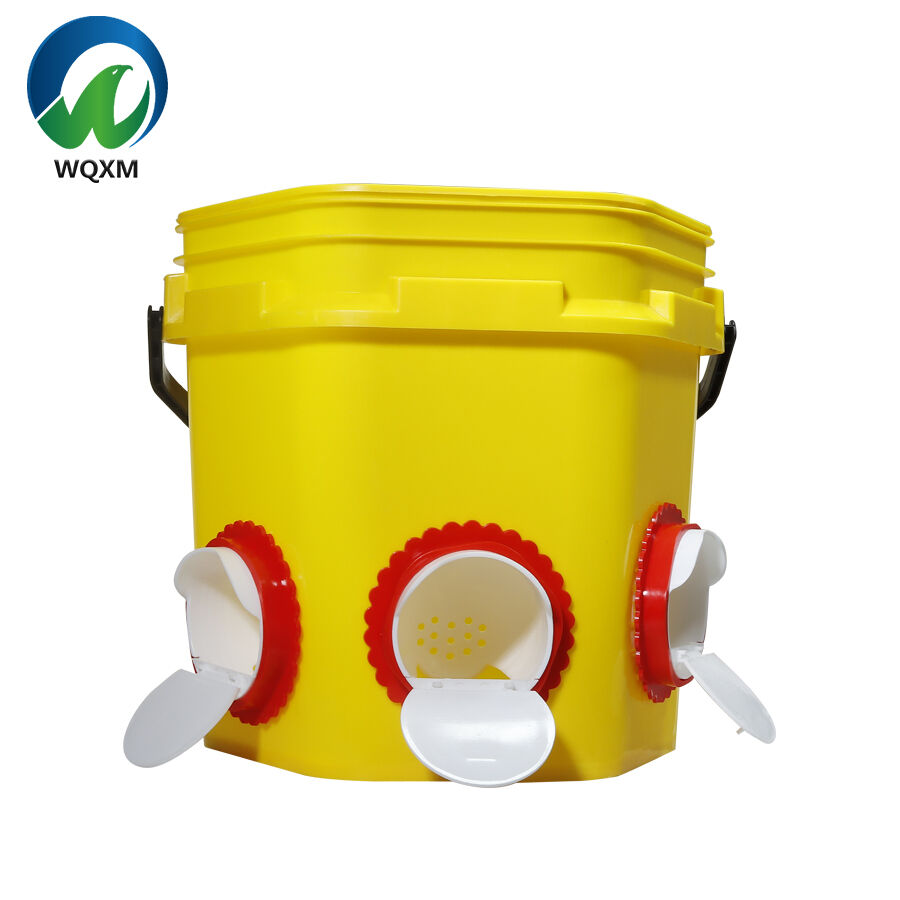 Introduction to Our Patented Chicken Feeder