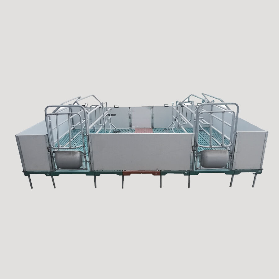 PVC Wall Panel Pig Farrowing Crate With BMC Slat Floor