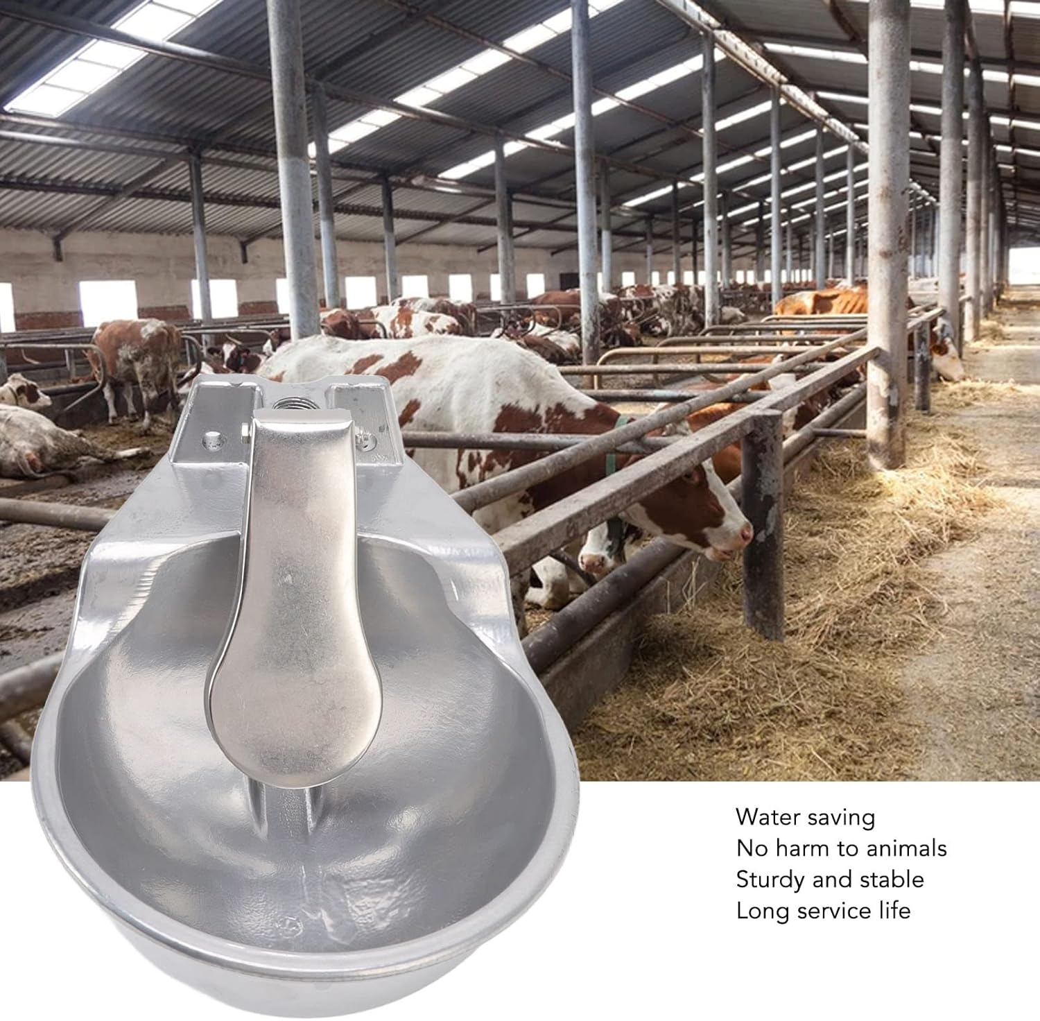 كيف تختار المزارع أوعية شرب الماشية لأنظمة التشغيل الآلي؟