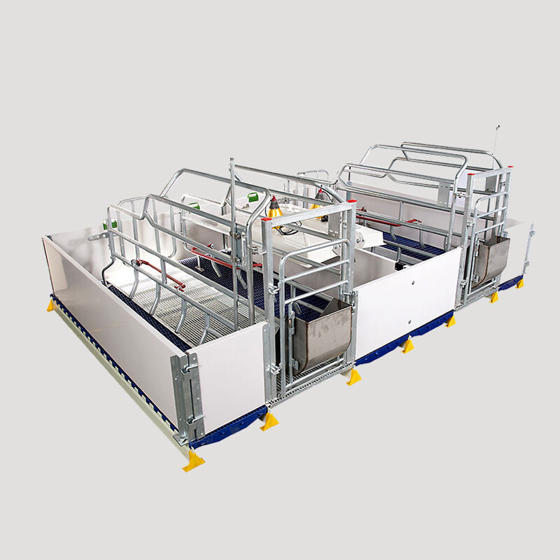 European Type Farrowing Cages For Pigs Farm
