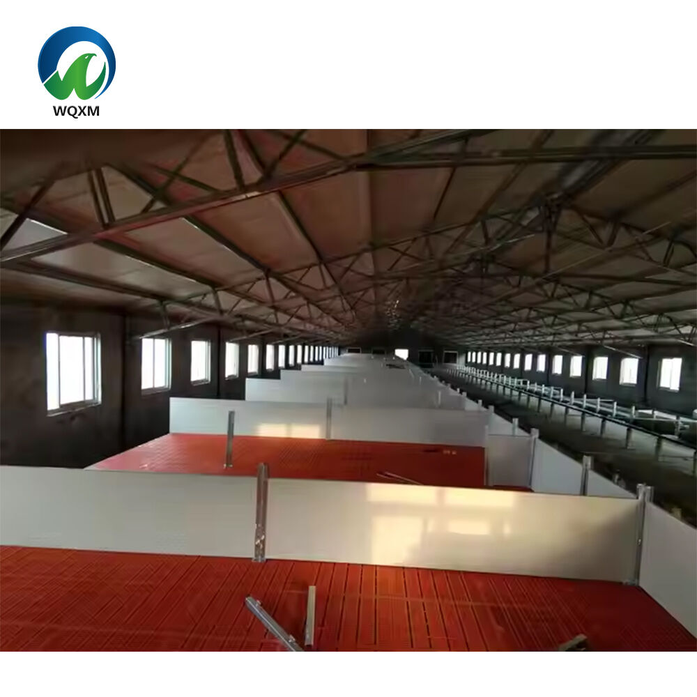 Customization Capabilities