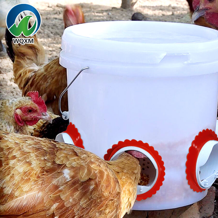Introduction to Our Patented Chicken Feeder