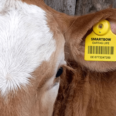 Ear Tag Equipment