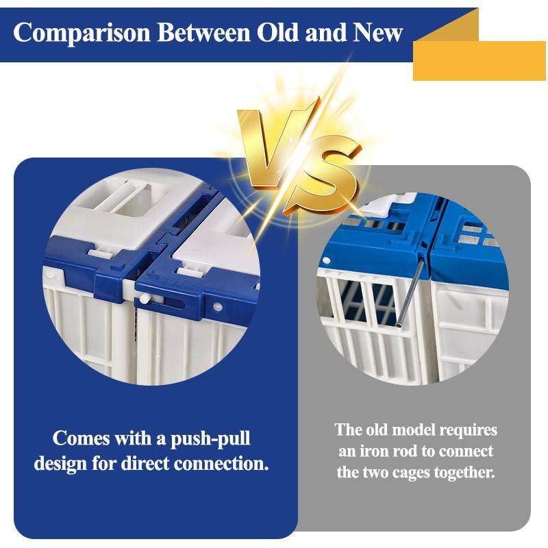 Introduction to the New Racing Pigeon Cage by Wanqing Animal Husbandry