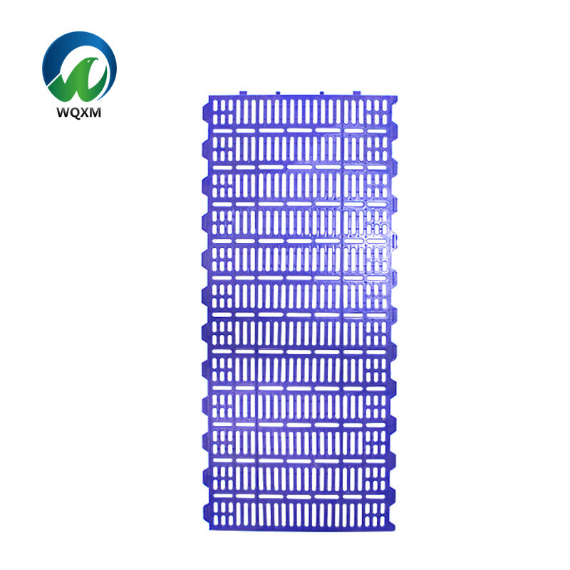 Innovative Safety Features