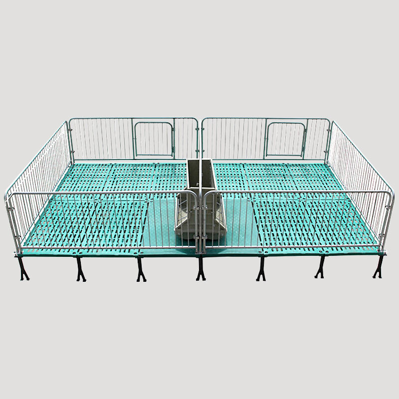 Hot Dip Galvanized Steel Pipe Crate Nursery Pen and Weaning Crate for Piglet and Pig Farm
