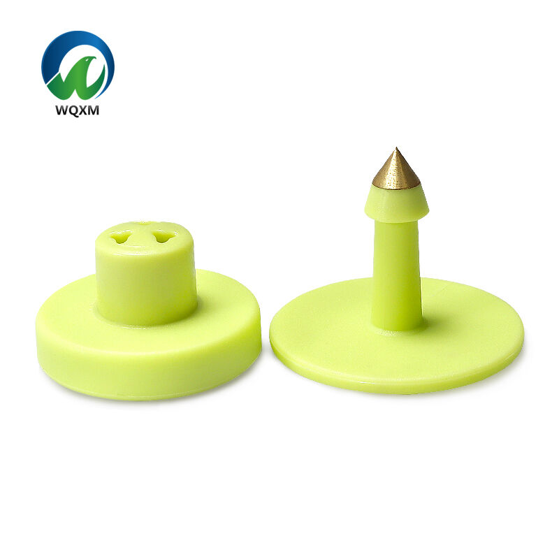 Conformité réglementaire et excellence en matière de traçabilité