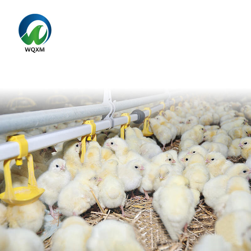 Advanced Ventilation System