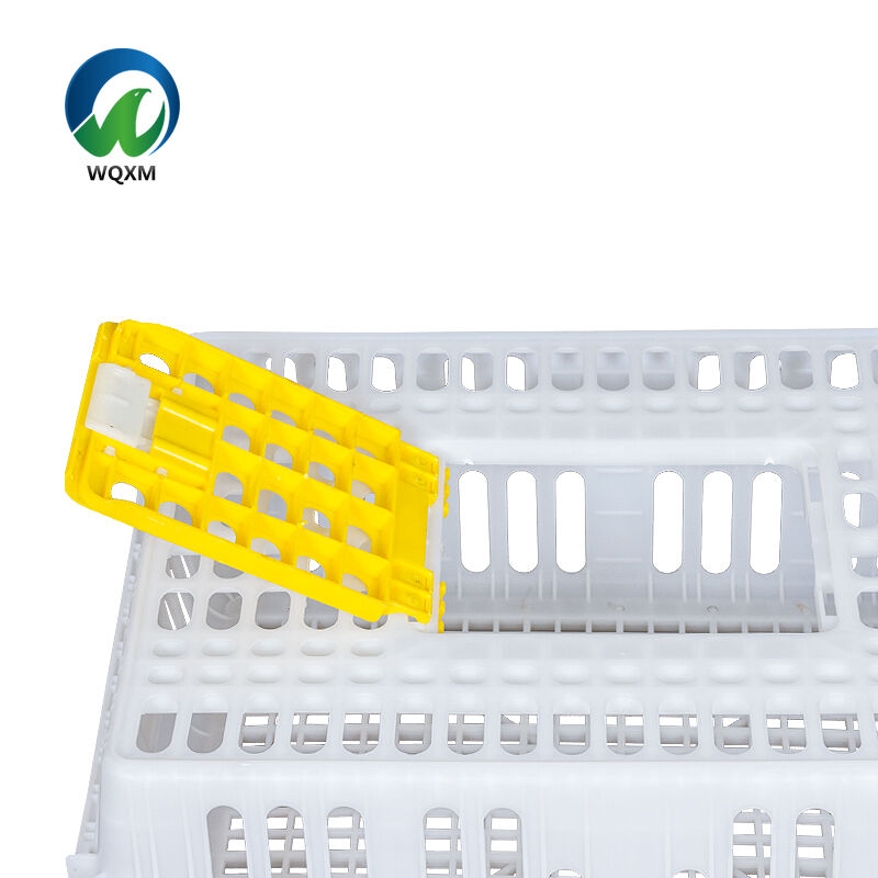 Ingénierie de conception ergonomique pour une efficacité opérationnelle améliorée