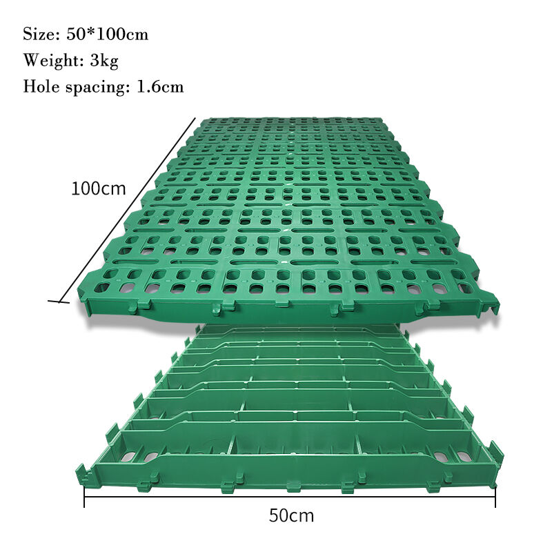Environmental and Cost Efficiency