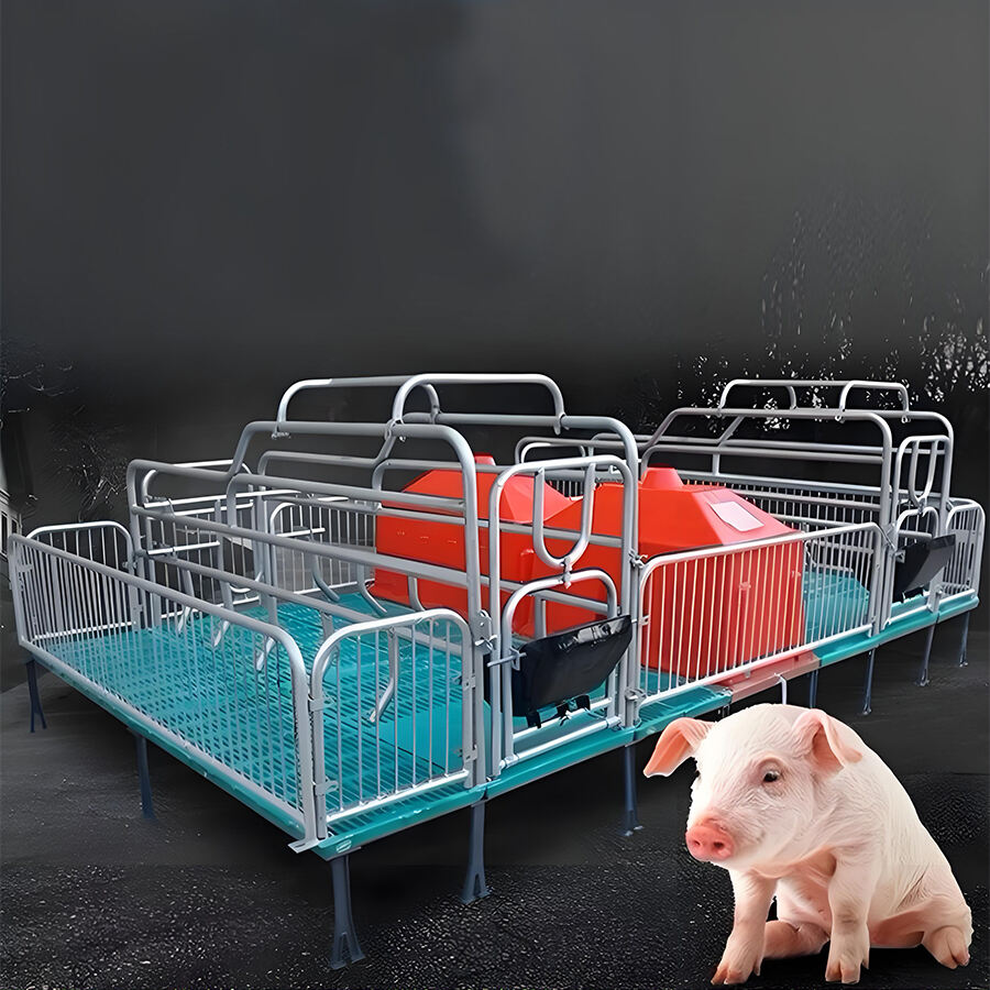 Pig Equipment: Ensuring Long-Term Sustainability and Quality