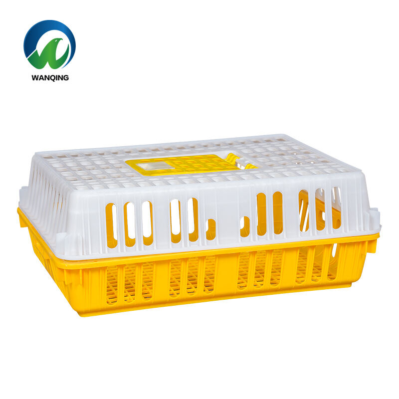 Superior Durability and Weather Resistance