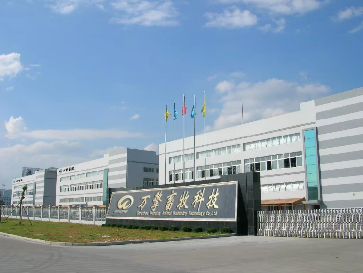 Our Company