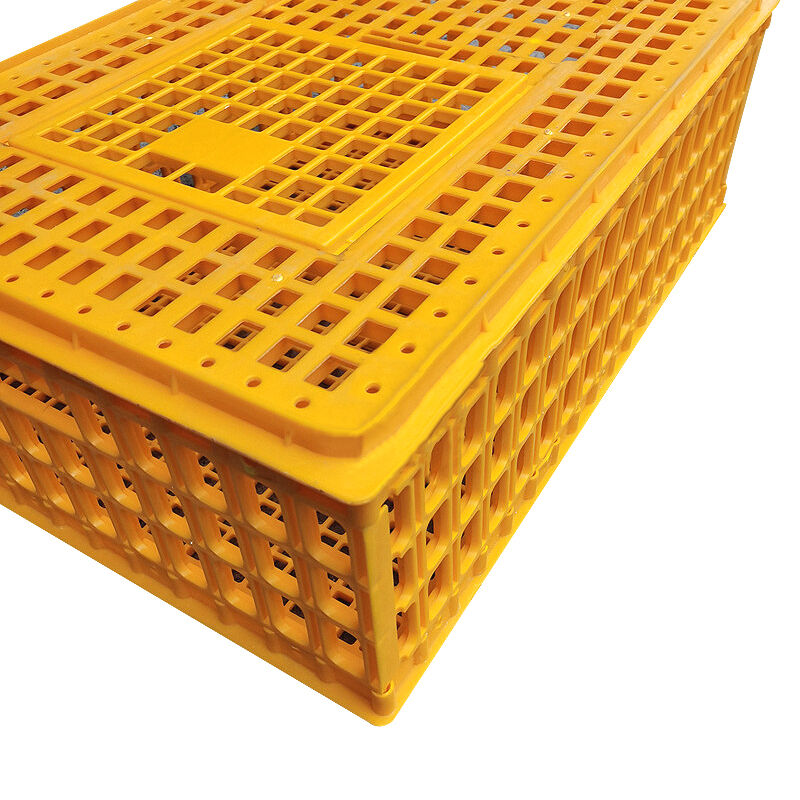 닭 운송 케이지의 최고 설계 특징은 무엇인가요?