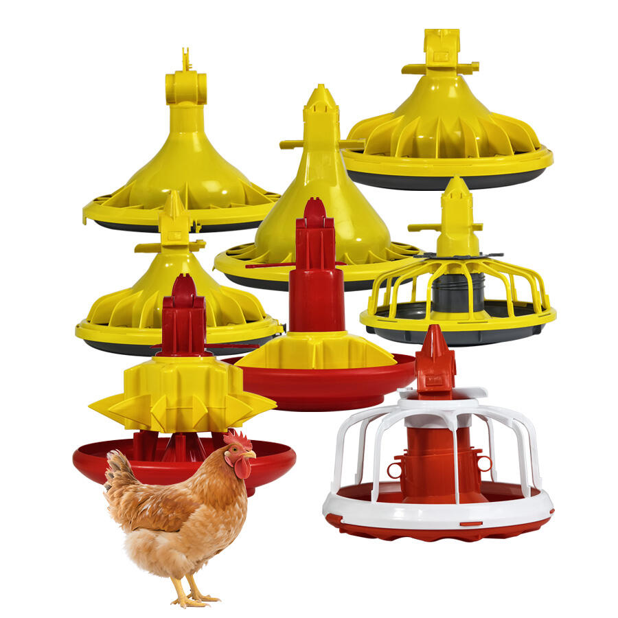 Wanqing Taps South Africa’s Booming Poultry Market