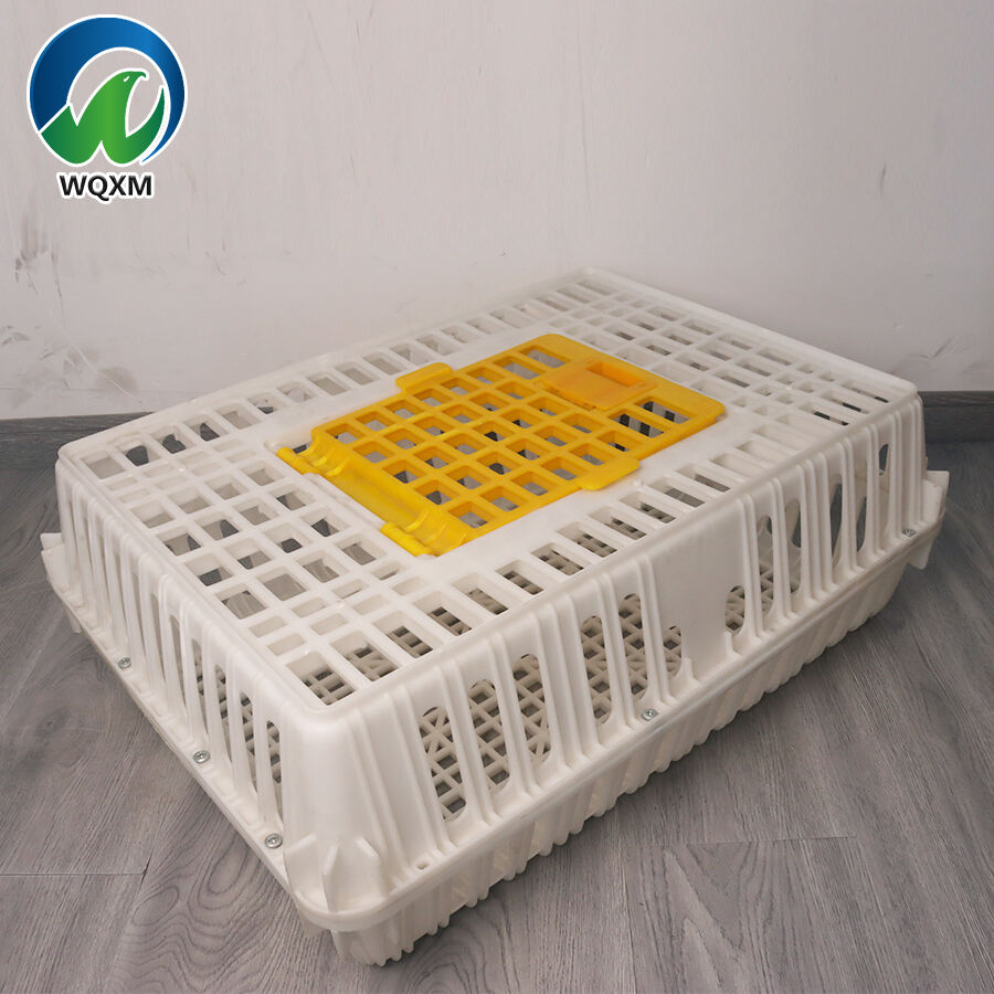 Ingot Shape Chicken Transport Turnover Boxes for Chicken/Duck Farm With Hinged Loading Door