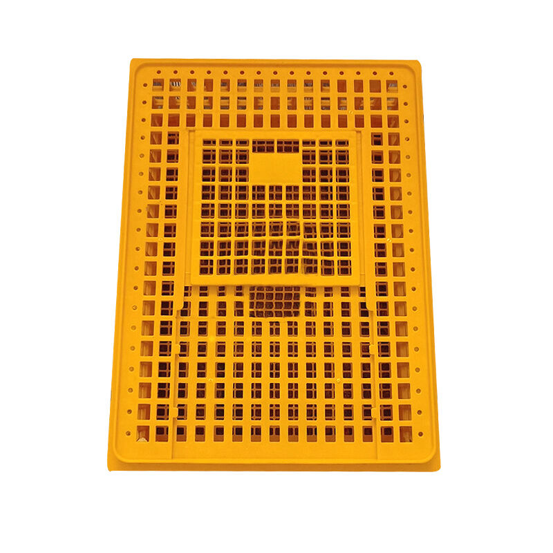 Système de ventilation supérieur pour une santé optimale des oiseaux