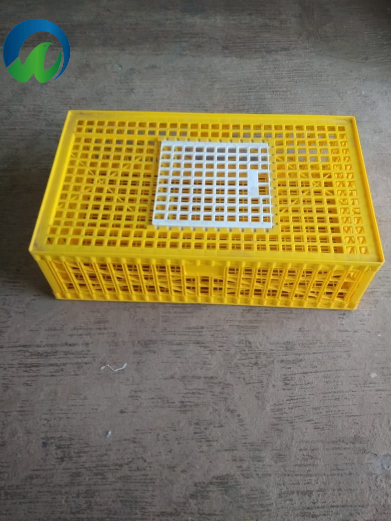 Customizable Coverage Solutions