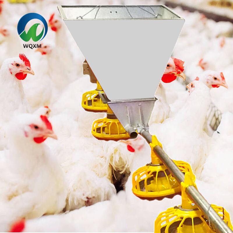 평면 급이 및 음수 라인은 동물의 건강과 성장에 어떻게 기여할 수 있나요?