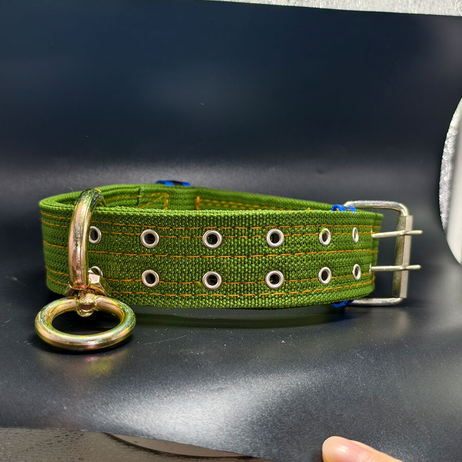 Green Canvas Collar Double Row Buckle Strong Adjustable Collar for Cattle